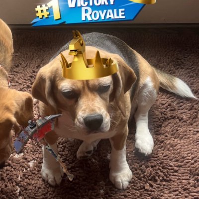 Frank.Fv profile picture